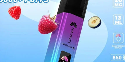 HayatiProMax_15000puffs20mg-BlueberryRaspberry