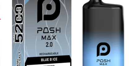 Posh Max 2.0 - Blue B Ice 5200 Puffs