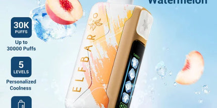 Elf Bar Ice King Disposable Vape  (30,000 Puffs)