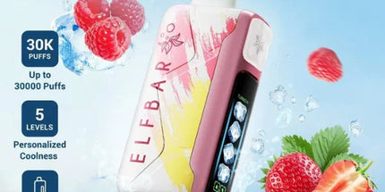 Elf Bar Ice King Disposable Vape  (30,000 Puffs)