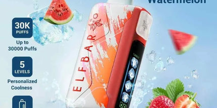Elf Bar Ice King Disposable Vape  (30,000 Puffs)